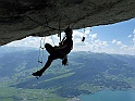 Etter  (8)